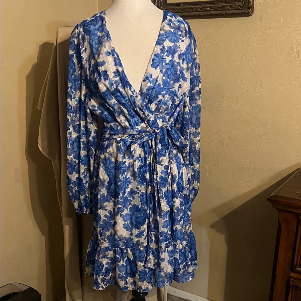 Alex Marie Blue and White Floral Dress